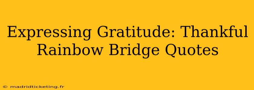 Expressing Gratitude: Thankful Rainbow Bridge Quotes