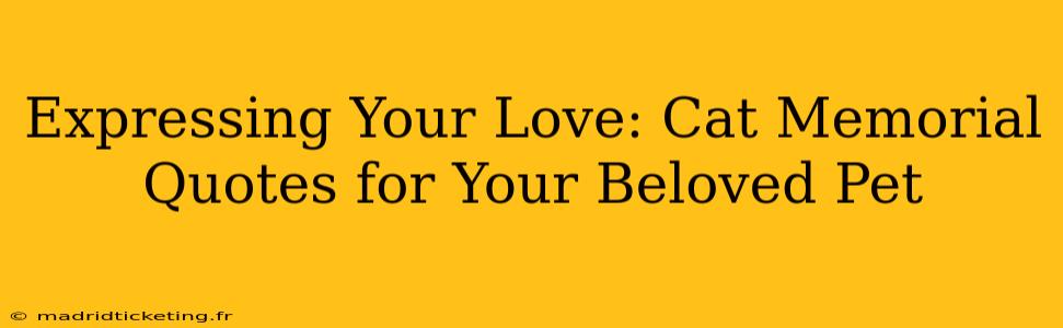Expressing Your Love: Cat Memorial Quotes for Your Beloved Pet