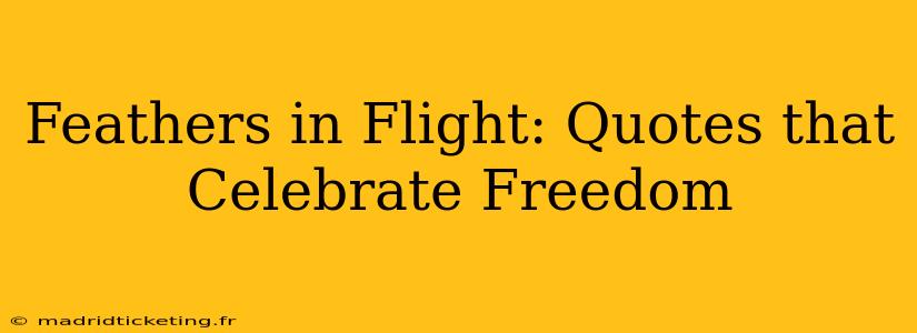 Feathers in Flight: Quotes that Celebrate Freedom