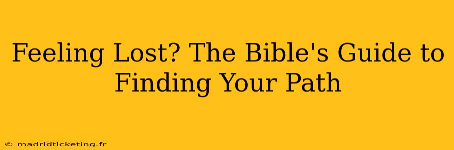 Feeling Lost? The Bible's Guide to Finding Your Path