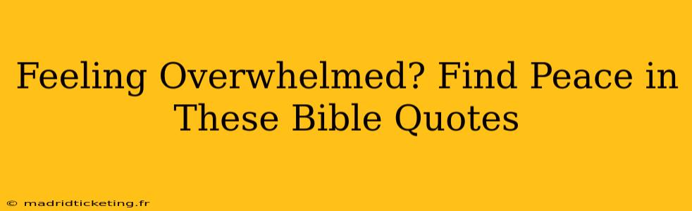 Feeling Overwhelmed? Find Peace in These Bible Quotes