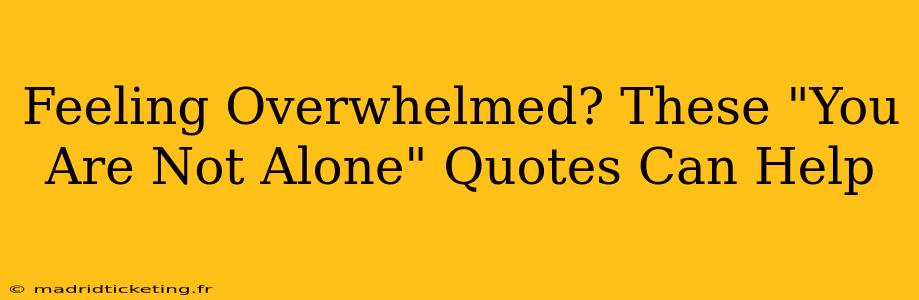 Feeling Overwhelmed? These "You Are Not Alone" Quotes Can Help