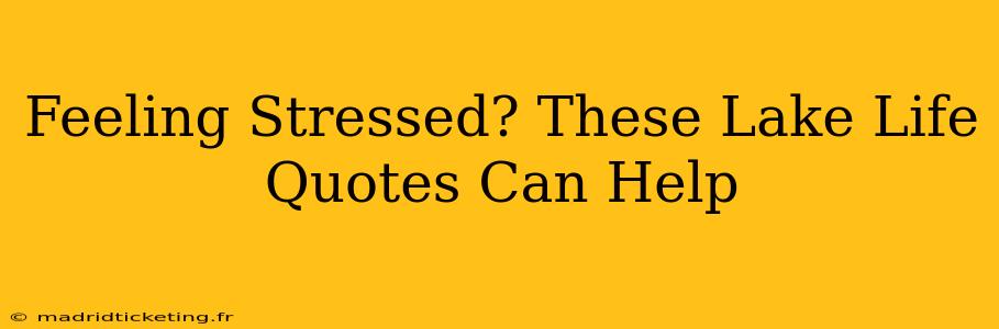 Feeling Stressed? These Lake Life Quotes Can Help