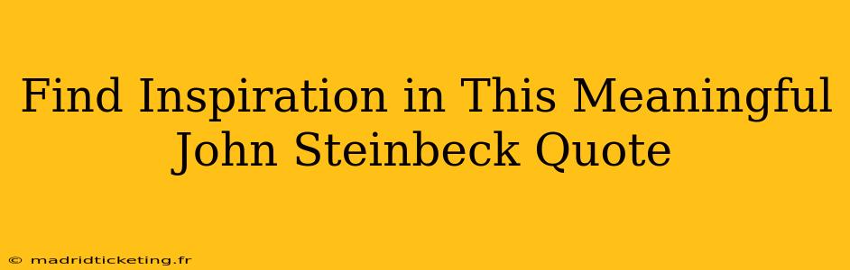 Find Inspiration in This Meaningful John Steinbeck Quote