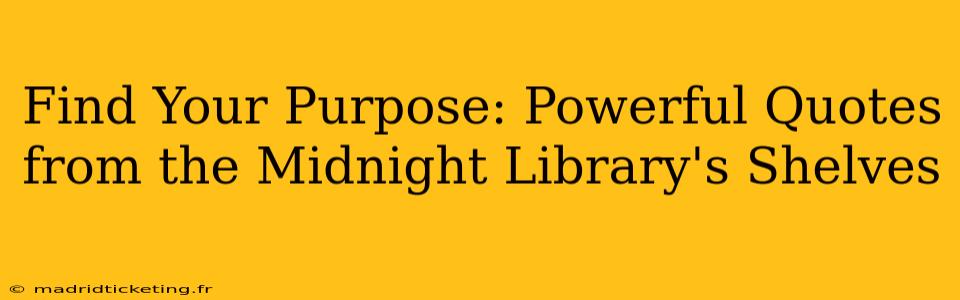 Find Your Purpose: Powerful Quotes from the Midnight Library's Shelves