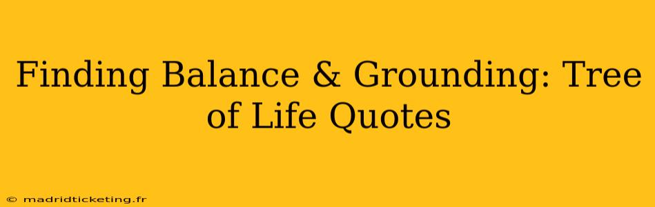 Finding Balance & Grounding: Tree of Life Quotes