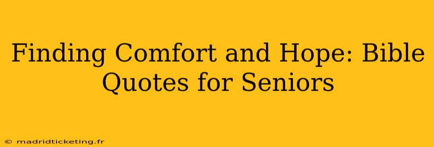 Finding Comfort and Hope: Bible Quotes for Seniors