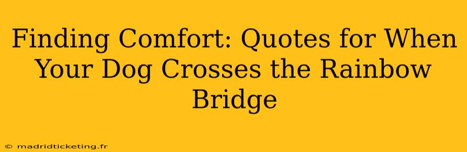 Finding Comfort: Quotes for When Your Dog Crosses the Rainbow Bridge
