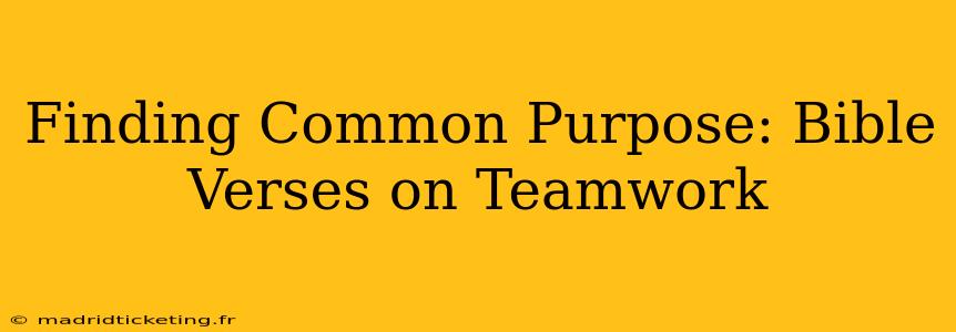 Finding Common Purpose: Bible Verses on Teamwork