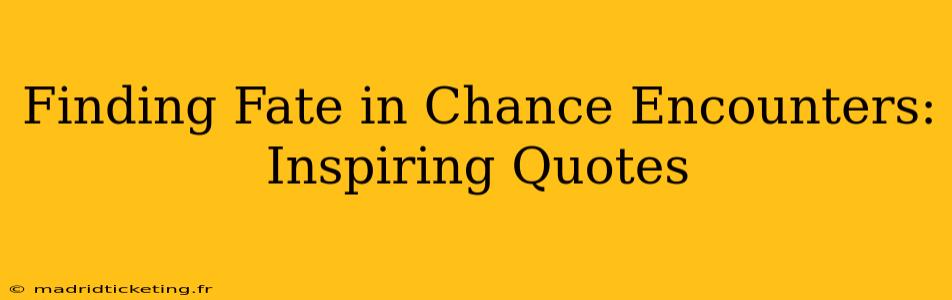 Finding Fate in Chance Encounters: Inspiring Quotes