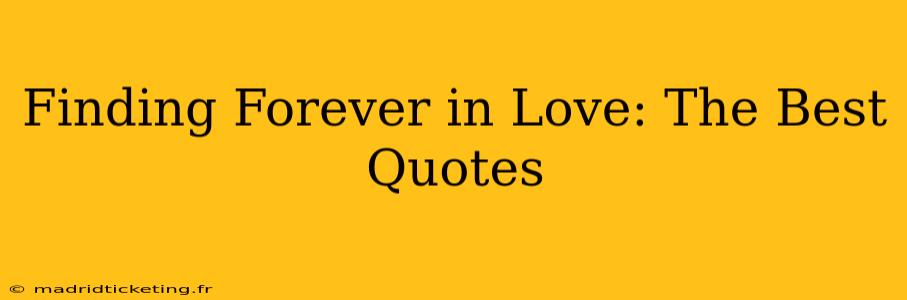 Finding Forever in Love: The Best Quotes