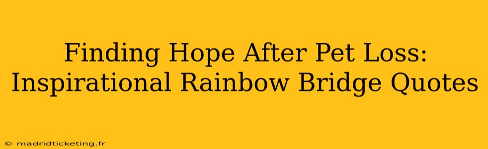 Finding Hope After Pet Loss: Inspirational Rainbow Bridge Quotes