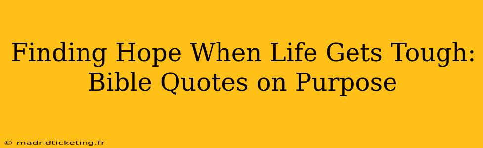 Finding Hope When Life Gets Tough: Bible Quotes on Purpose