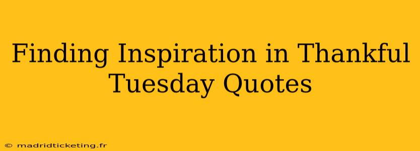 Finding Inspiration in Thankful Tuesday Quotes