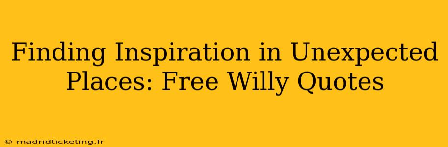 Finding Inspiration in Unexpected Places: Free Willy Quotes