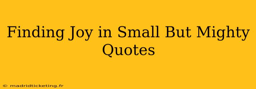 Finding Joy in Small But Mighty Quotes