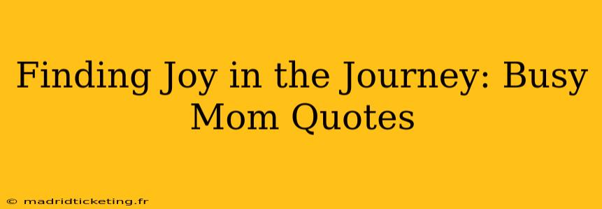 Finding Joy in the Journey: Busy Mom Quotes