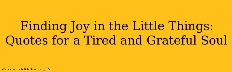 Finding Joy in the Little Things: Quotes for a Tired and Grateful Soul
