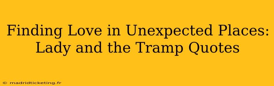 Finding Love in Unexpected Places: Lady and the Tramp Quotes