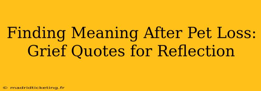 Finding Meaning After Pet Loss: Grief Quotes for Reflection