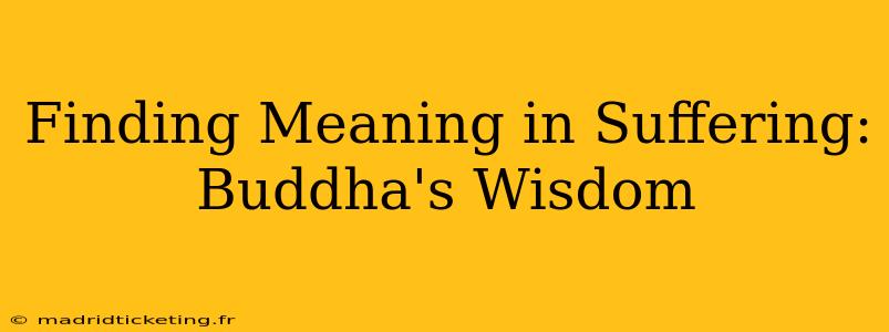 Finding Meaning in Suffering: Buddha's Wisdom