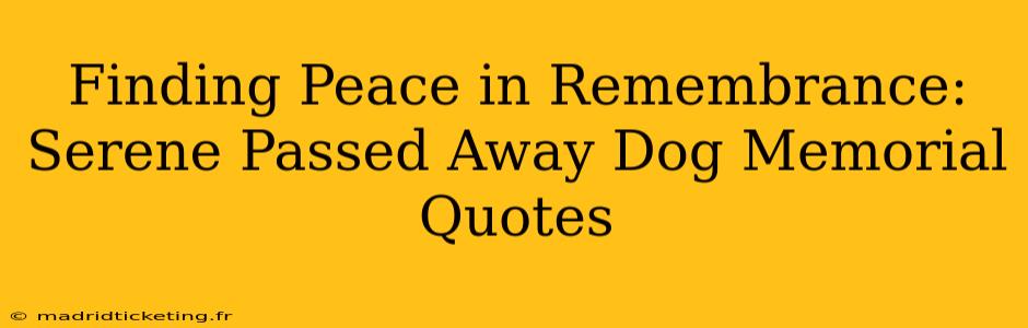 Finding Peace in Remembrance:  Serene Passed Away Dog Memorial Quotes