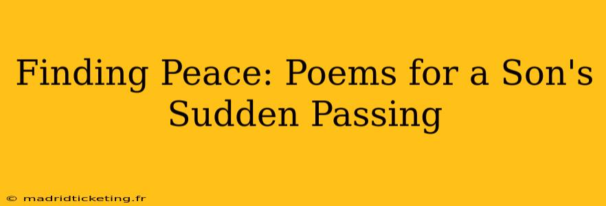Finding Peace: Poems for a Son's Sudden Passing