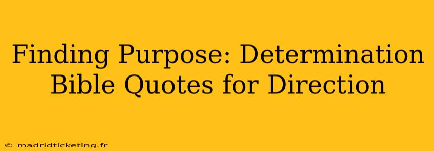 Finding Purpose: Determination Bible Quotes for Direction