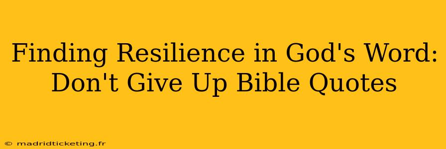Finding Resilience in God's Word: Don't Give Up Bible Quotes