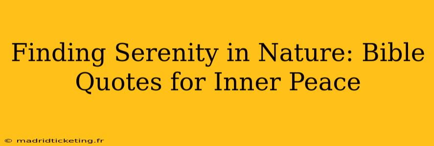 Finding Serenity in Nature: Bible Quotes for Inner Peace