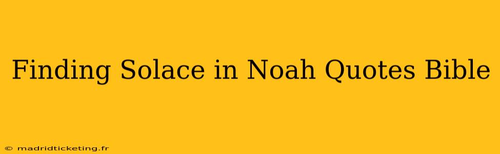 Finding Solace in Noah Quotes Bible