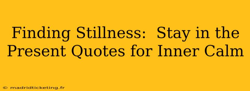 Finding Stillness:  Stay in the Present Quotes for Inner Calm