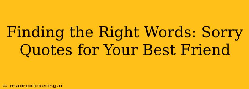 Finding the Right Words: Sorry Quotes for Your Best Friend