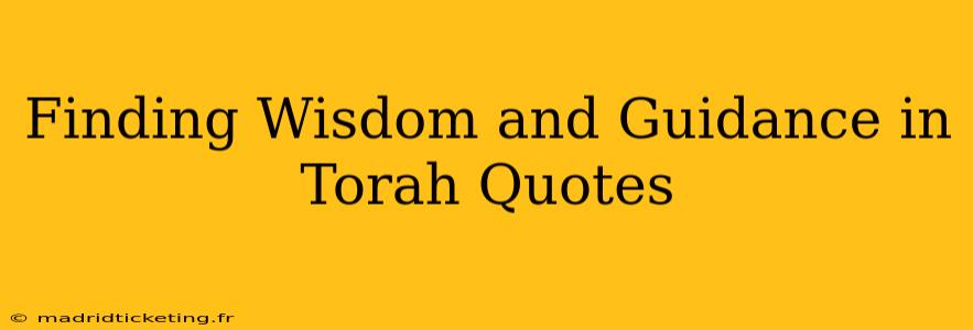 Finding Wisdom and Guidance in Torah Quotes