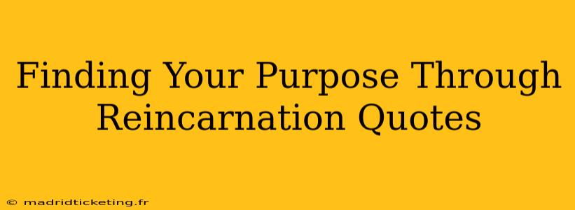 Finding Your Purpose Through Reincarnation Quotes