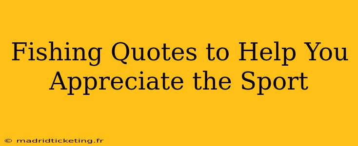 Fishing Quotes to Help You Appreciate the Sport