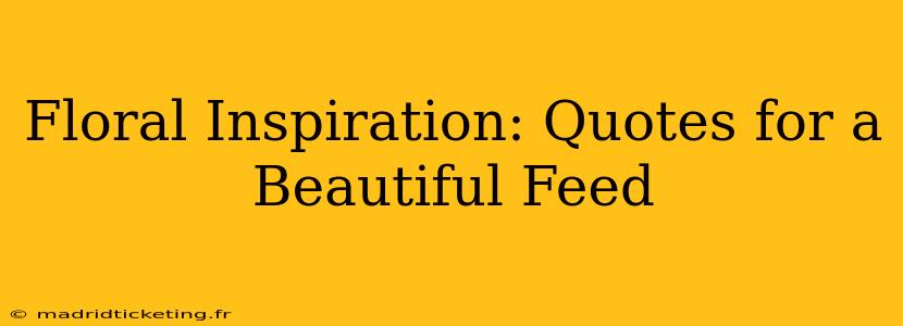 Floral Inspiration: Quotes for a Beautiful Feed