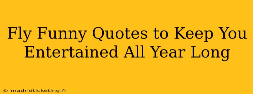 Fly Funny Quotes to Keep You Entertained All Year Long
