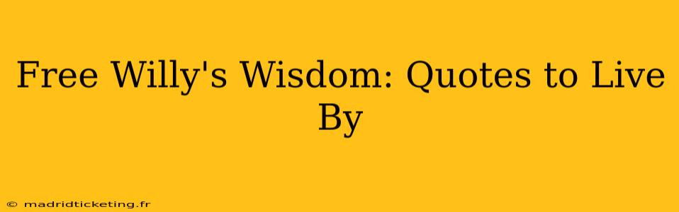 Free Willy's Wisdom: Quotes to Live By