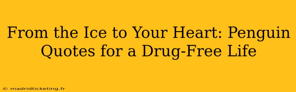 From the Ice to Your Heart: Penguin Quotes for a Drug-Free Life