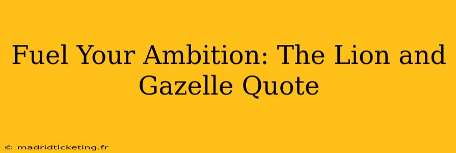 Fuel Your Ambition: The Lion and Gazelle Quote