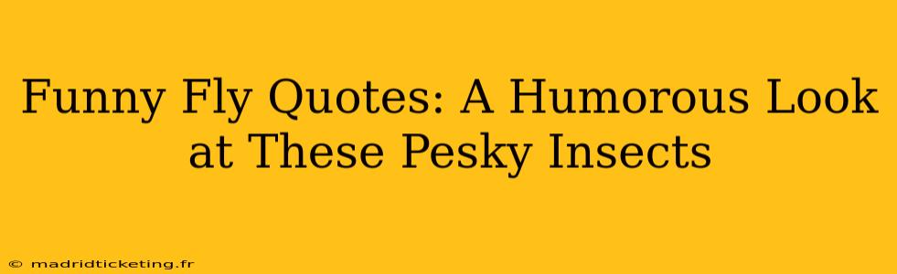 Funny Fly Quotes: A Humorous Look at These Pesky Insects