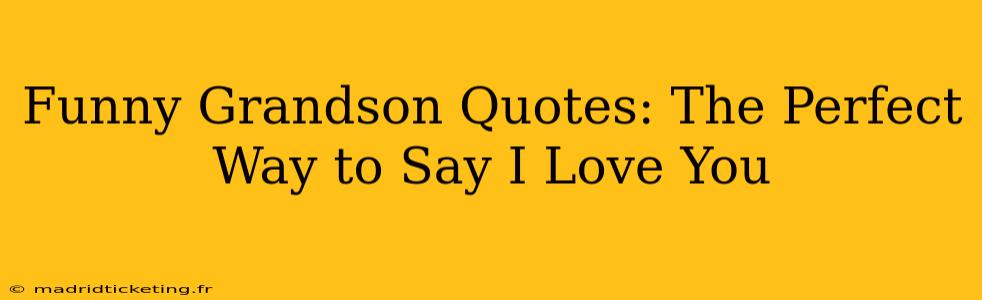 Funny Grandson Quotes: The Perfect Way to Say I Love You
