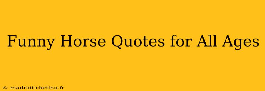 Funny Horse Quotes for All Ages