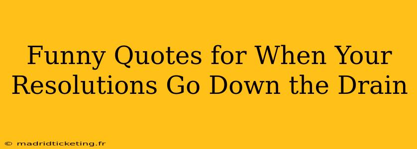 Funny Quotes for When Your Resolutions Go Down the Drain