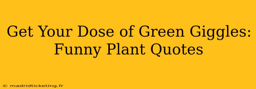 Get Your Dose of Green Giggles: Funny Plant Quotes