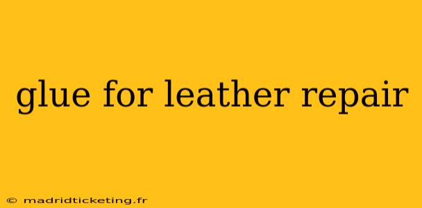 glue for leather repair