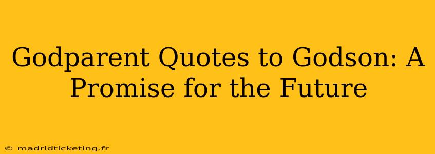Godparent Quotes to Godson: A Promise for the Future