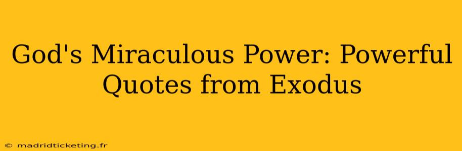 God's Miraculous Power: Powerful Quotes from Exodus