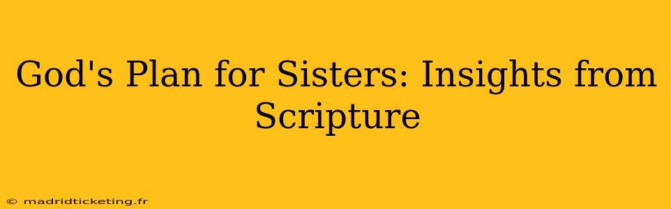 God's Plan for Sisters: Insights from Scripture